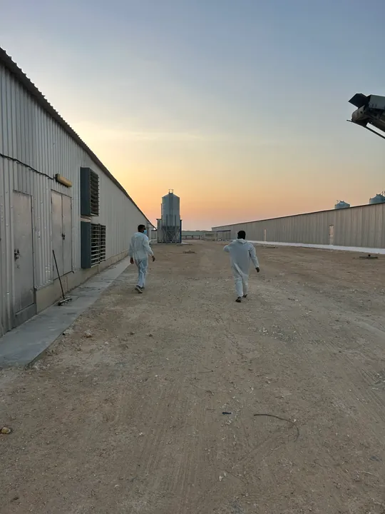 الممر الخارجي بين حظائر المزرعة